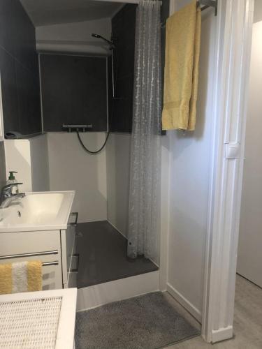 La petite salle de bains est pourvue d'une douche et d'un lavabo. dans l'établissement La garonne a ginasservis, à Ginasservis