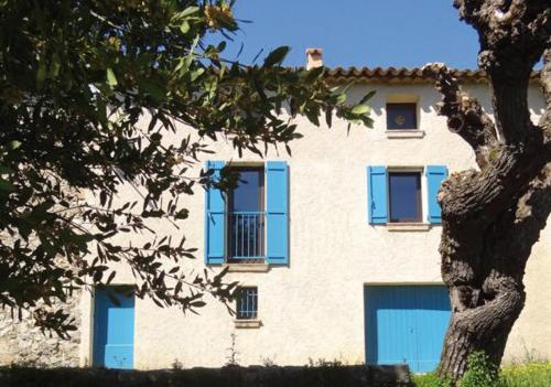 Au calme en campagne au milieu des oliviers centenaires