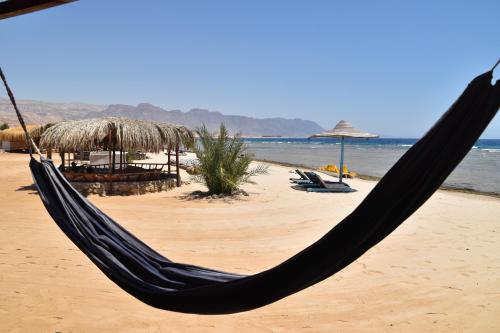 a hammock on a beach with chairs and the ocean at Shanty beach camp suer in Nuweiba