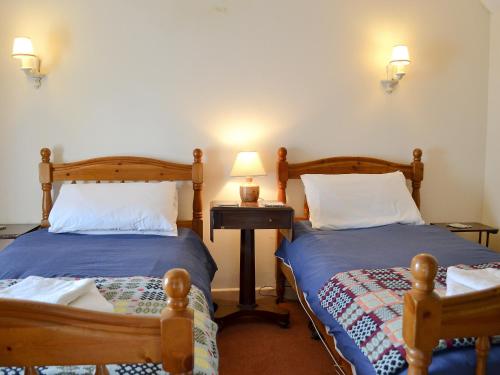 1 dormitorio con 2 camas y mesita de noche con lámpara en Trem-y-don Cottage, en Trevine