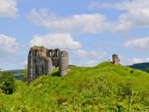 a castle on top of a green hill at Crabtrees in Felindre