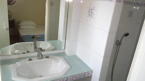 une salle de bain avec un lavabo, un miroir et une douche dans l'établissement Le gite la licorne, à Saint-Raphaël