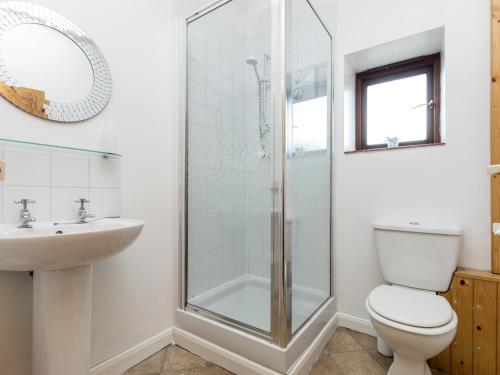 a bathroom with a shower and a toilet and a sink at Bramble Cottage in Radstock
