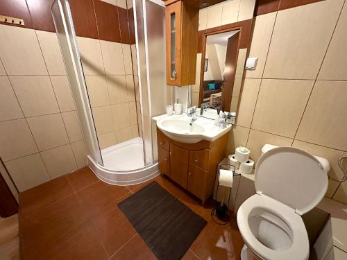 a bathroom with a toilet and a sink and a shower at Apartament w górach in Mszana Dolna