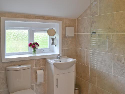 a bathroom with a toilet and a sink and a window at The Willows in Toynton All Saints