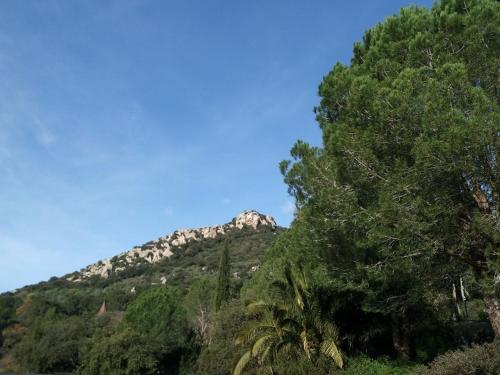 La bayorre