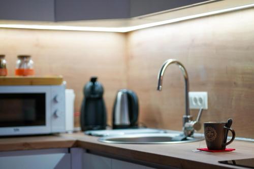 un bancone della cucina con lavandino e tazza di caffè di Apartman Ravna Planina a Pale