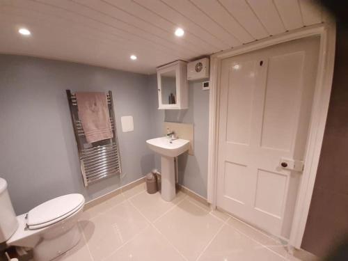 a bathroom with a white toilet and a sink at Selah Teifi spectacular river view with games room in Llandysul