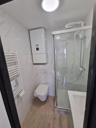 a bathroom with a shower and a toilet at Agréable appartement T2 Centre ville in Valence