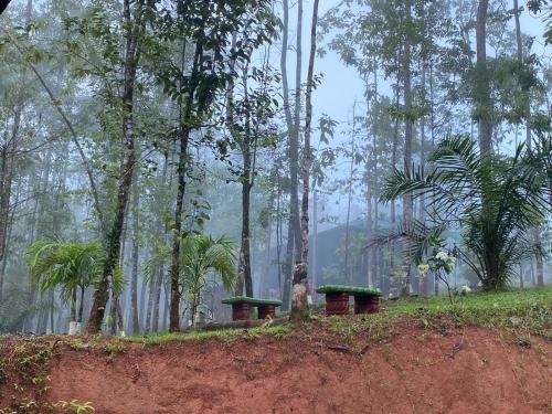 Bahías Lodge – Photos 2