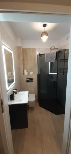 uma casa de banho com um WC, um lavatório e um chuveiro em Jagoda 11 em Karpacz
