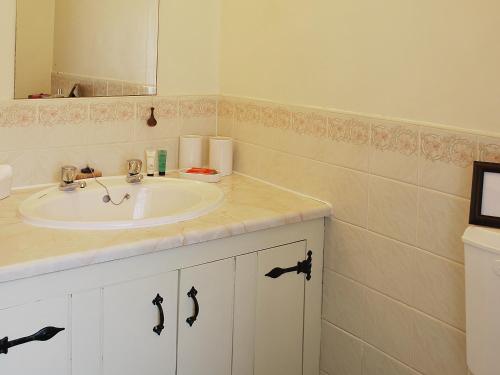 a bathroom with a sink and a mirror at Pegg Inn Cottage in Allgreave