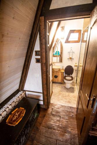 an overhead view of a bathroom with a toilet at Camere de închiriat Pași Liberi in Tău Bistra