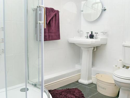 a bathroom with a shower and a sink and a toilet at Golygfar Mynydd - Mountain View in Strata Florida