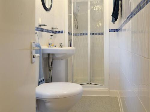 a bathroom with a toilet and a sink and a shower at The Den in Amlwch