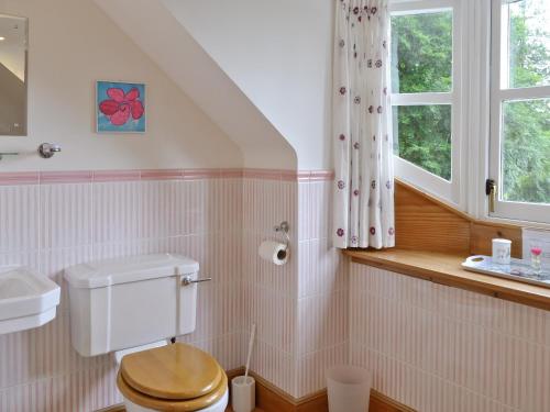 a bathroom with a toilet and a sink and a window at Little Blackhall Lodge in Banchory
