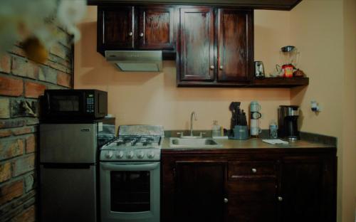 a kitchen with a stove and a microwave at Cabaña R y A Valle de Guadalupe in Valle de Guadalupe