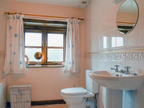 a bathroom with a toilet and a sink and a mirror at Woods Close -17381 in Kilkhampton