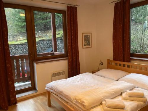 um quarto com uma cama e duas janelas em Zaži Apartmány Fatrapark Hrabovo em Ruzomberok