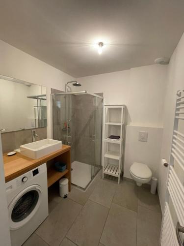 a bathroom with a shower sink and a washing machine at Les Cyclistes : appartement Vintoux in Malaucène