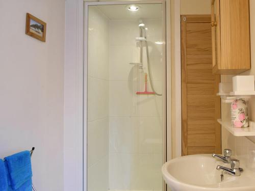 a bathroom with a shower and a sink at Woodlands Lodge in Rustington