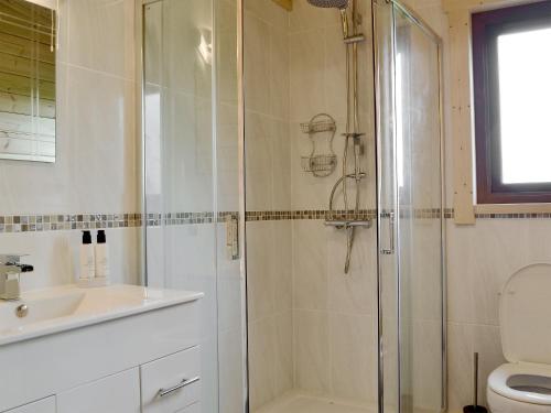 a bathroom with a shower and a sink and a toilet at Callow Lodge in Meadowtown