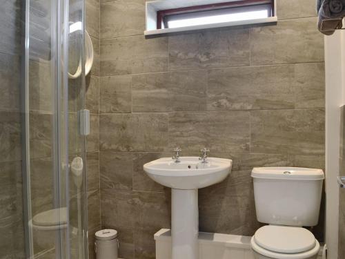 uma casa de banho com um WC, um lavatório e um chuveiro em Ashover Lodge em Kinmel Bay