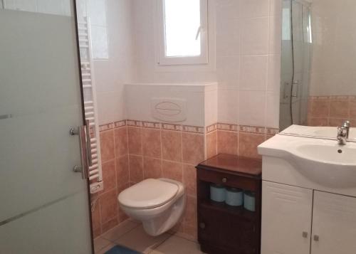 une salle de bain avec toilettes et lavabo dans l'établissement Nos penates, à Bagnols-en-Forêt