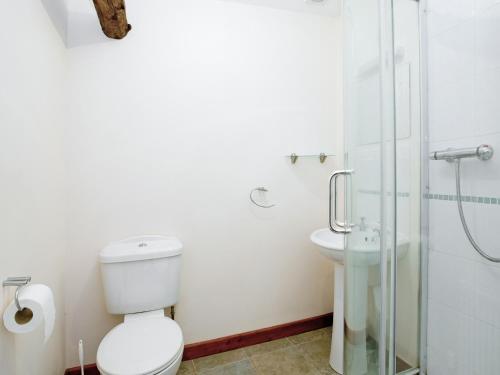 a bathroom with a toilet and a sink and a shower at Thyme - E4485 in Ludham