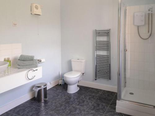 a bathroom with a toilet and a sink and a shower at Elm Loft in Upton