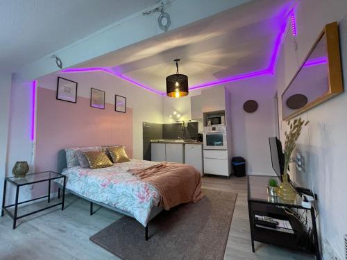 ラ・ギャルドにあるLa garde Studio atypique Le Rocher, climatisation, belle décorationのベッドルーム1室(紫色の照明付きのベッド1台付)