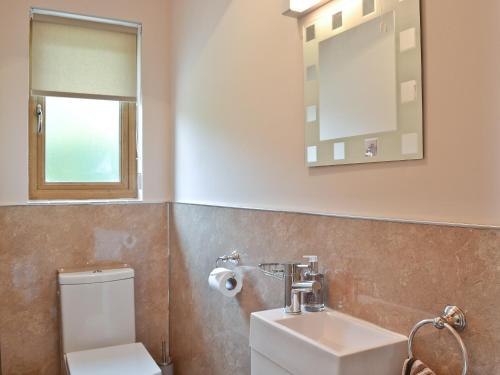 a bathroom with a toilet and a sink and a mirror at Hillside View in Llandrindod Wells