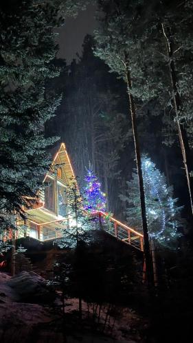 Příroda nedaleko hotelu