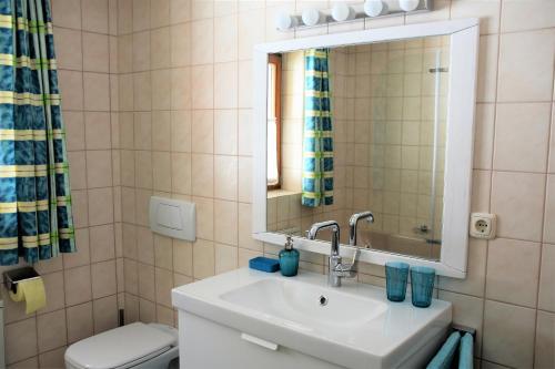 ein Badezimmer mit einem Waschbecken, einem WC und einem Spiegel in der Unterkunft Ferienhaus Durstberger in Ehrwald