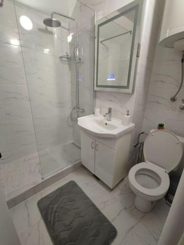 a bathroom with a toilet and a sink and a shower at Blackwood Hill in Belgrade