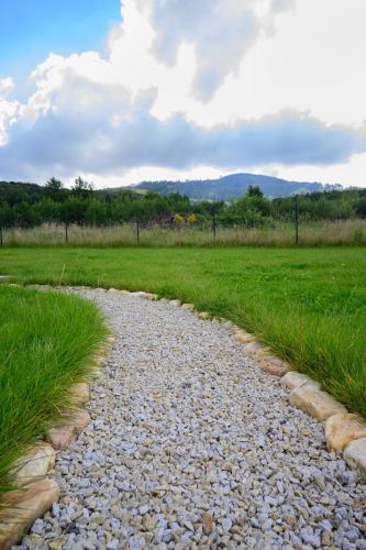 a cobblestone path through a field of grass at Dom Wśród Gwiazd in Jarnołtówek