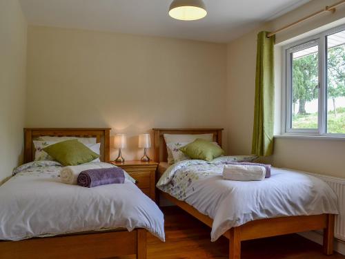 a bedroom with two beds and a window at Dolview in Penybont