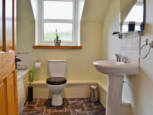 a bathroom with a toilet and a sink and a window at Rathlin Coach House in Comrie
