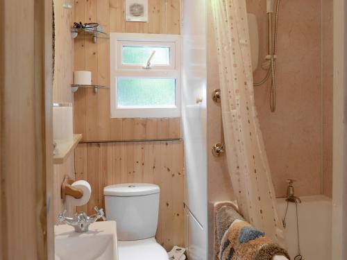 a bathroom with a toilet and a sink and a shower at Trewartha-by-chy in Crackington Haven