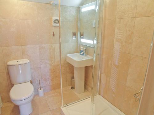 a bathroom with a shower and a toilet and a sink at The Old Stables in Helsby