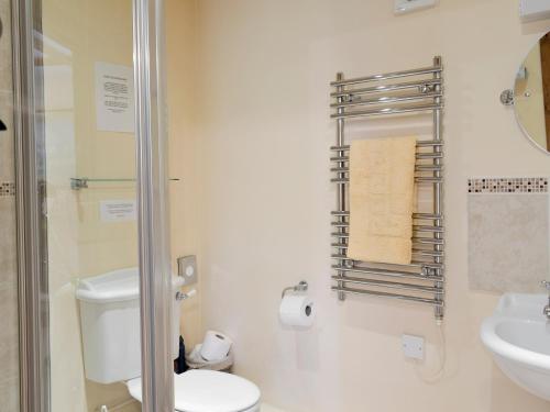 a bathroom with a toilet and a sink and a shower at Henwood in East Meon