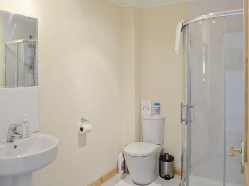 a bathroom with a toilet and a sink and a shower at March Cottage in Glenrossal