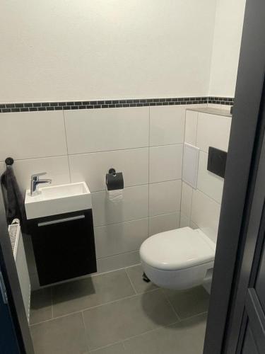 ein Bad mit einem WC und einem Waschbecken in der Unterkunft Apartment Viktoria in Horn