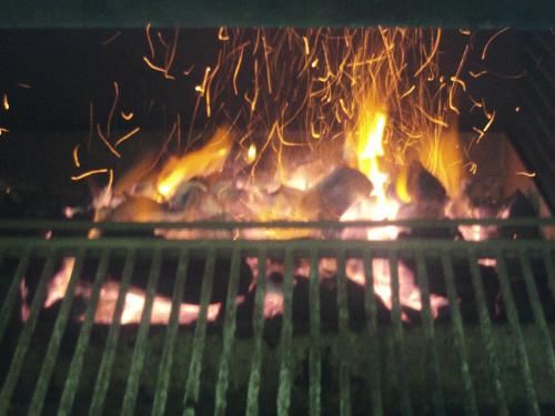 a grill with a bunch of fire in it at Hostal San Luis in Almodóvar del Río
