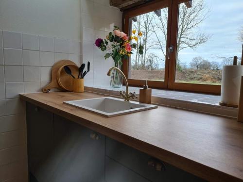 encimera de cocina con fregadero y ventana en Maison Lamers, en Lignac