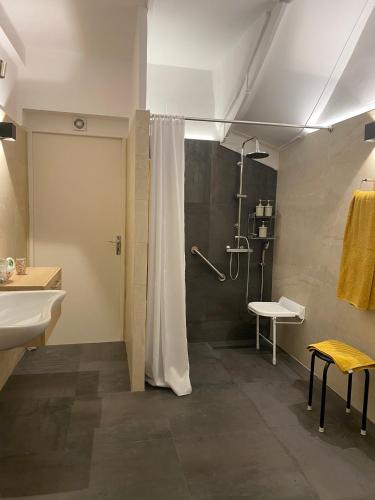 une salle de bain avec une douche, des toilettes et un lavabo dans l'établissement Chez Hélène 3 étoiles, labellisé disabled PMR,pour 4 personnes chiens bienvenus-pet friendly, à Bourg-Madame