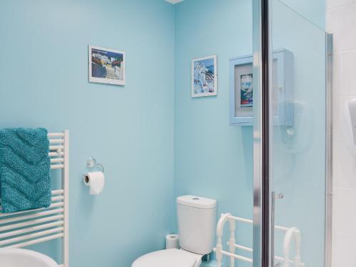 a blue bathroom with a toilet and a glass shower at Little Croxley in Wroxall