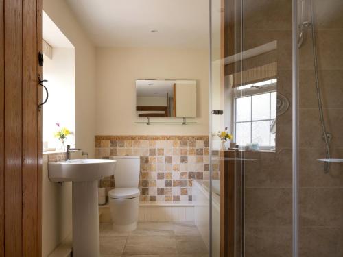 Tal-y-CafnにあるPlas Iwrwg Granary - 28091のバスルーム(トイレ、洗面台、シャワー付)