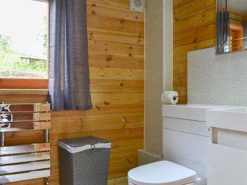 BanavieにあるCruachan Log Cabinの木製の壁のバスルーム(トイレ付)
