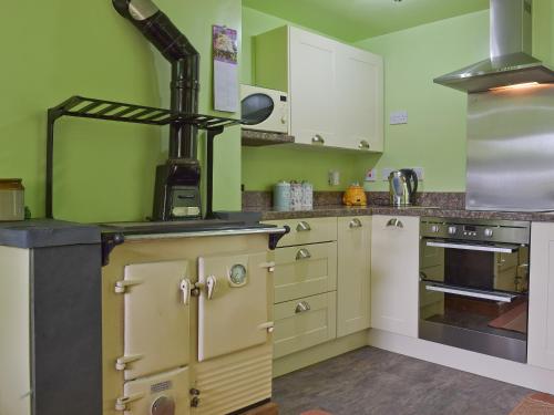 a kitchen with green walls and a stove top oven at Penmorgan in Mynachlogddu